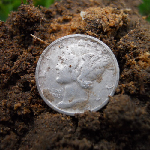 Silver coin metal detecting